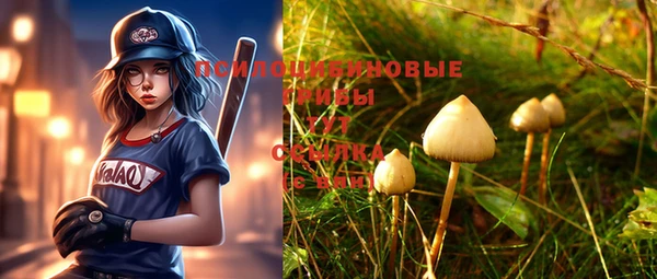 spice Козельск