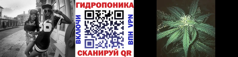 Каннабис сатива  Купить  Полевской 